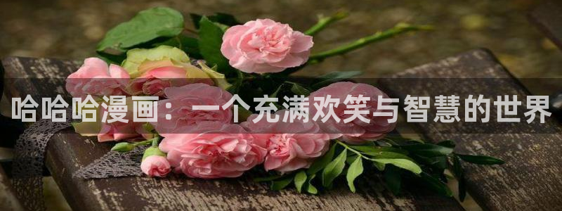 香蕉文化漫画书平台官网