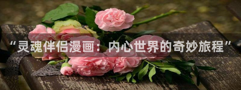 香蕉文化,漫画：“灵魂伴侣漫画：内心世界的奇妙旅程”