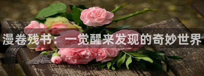 香蕉文化(漫画)