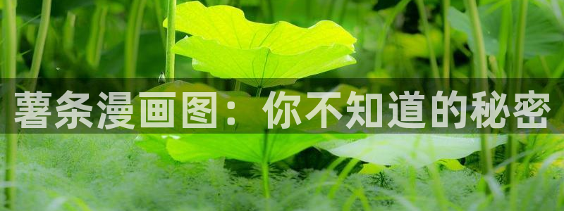 香蕉文化漫画登录
