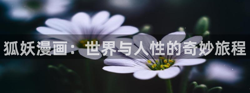 香蕉漫画入