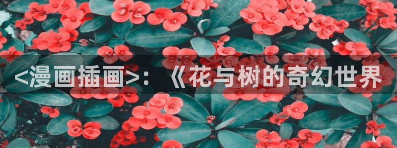 香蕉漫画版本