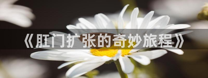 香蕉文化漫画免费观看