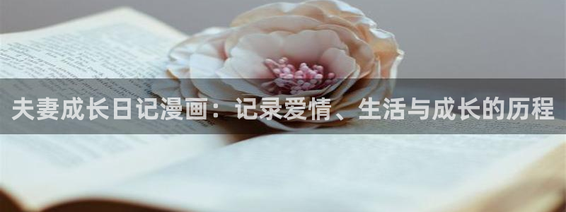香蕉漫画免费网站入口