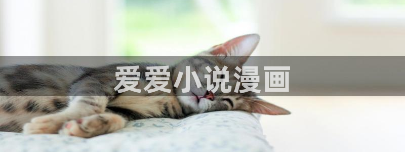 香蕉漫画网